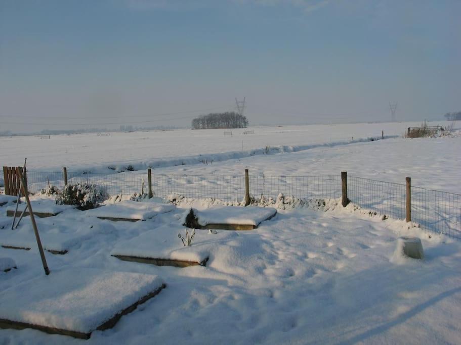 Out Of Amsterdam, River Apartment Close To City Broek in Waterland Extérieur photo